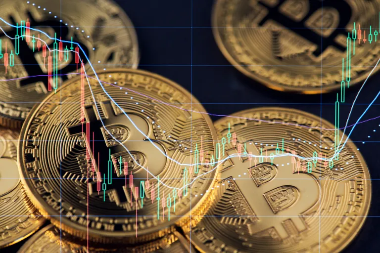 BTCの「下値が硬い」理由、政府・大学・企業の機関買いが支えか