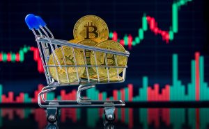 ビットコインを売ったのはETF勢、長期保有者は逆に積み増し