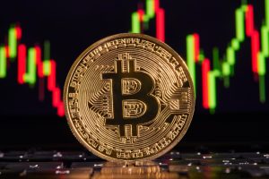 追い風のはずが半値に|ビットコイン、この10か月で何が起きたか