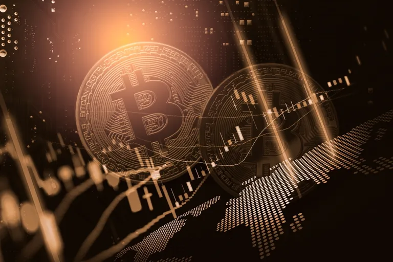 上がっているのに人が戻らない｜ビットコイン8月24%高騰の実態